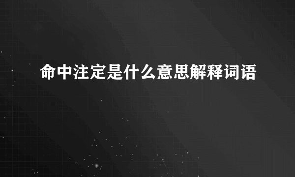 命中注定是什么意思解释词语