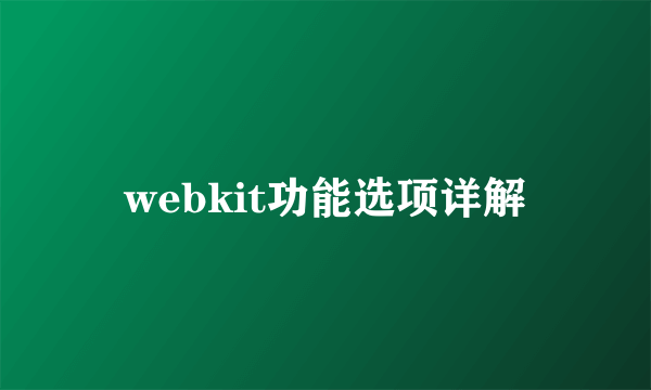 webkit功能选项详解