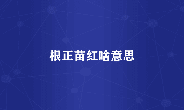 根正苗红啥意思