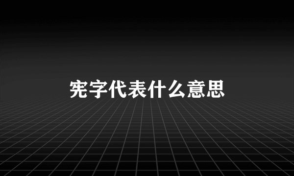宪字代表什么意思
