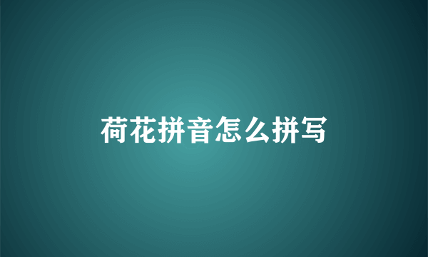 荷花拼音怎么拼写