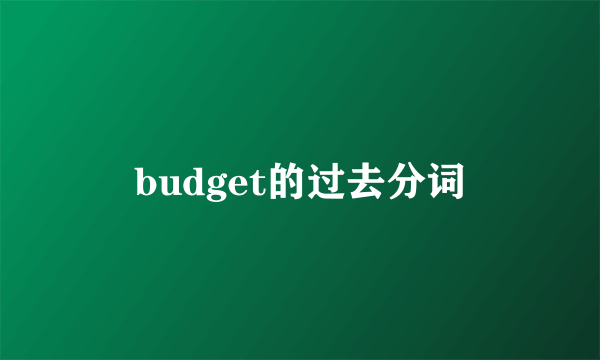 budget的过去分词