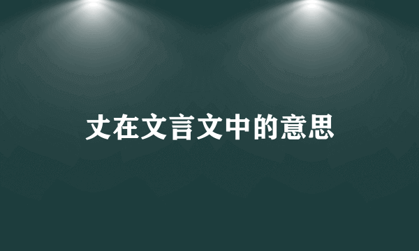 丈在文言文中的意思