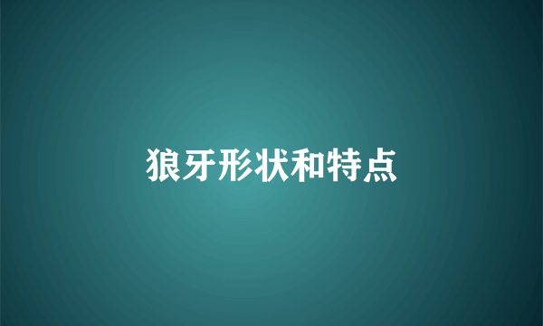 狼牙形状和特点