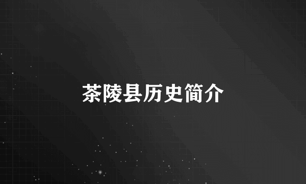 茶陵县历史简介