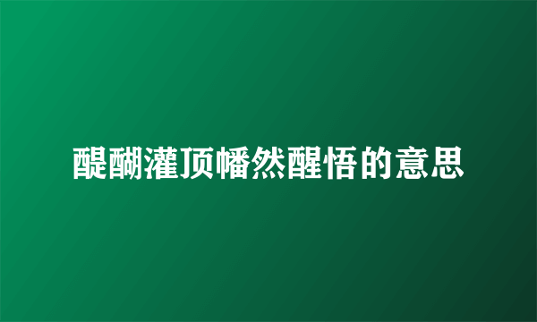 醍醐灌顶幡然醒悟的意思