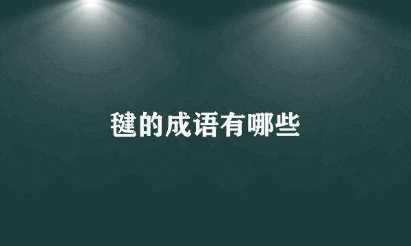 毽的成语有哪些
