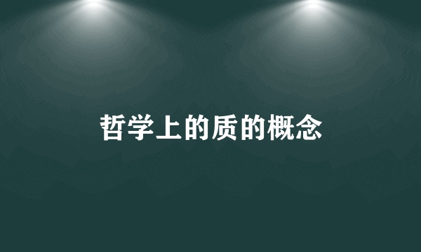 哲学上的质的概念