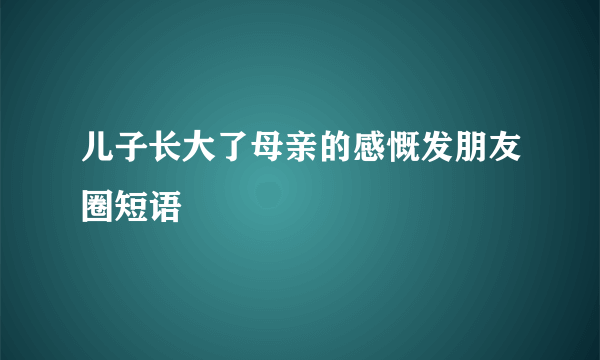 儿子长大了母亲的感慨发朋友圈短语