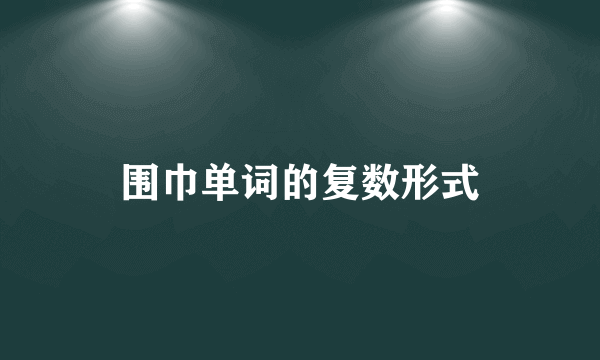 围巾单词的复数形式