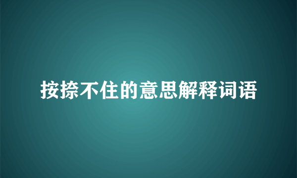 按捺不住的意思解释词语