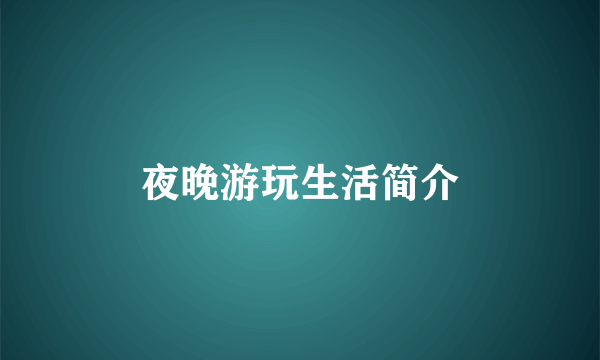 夜晚游玩生活简介
