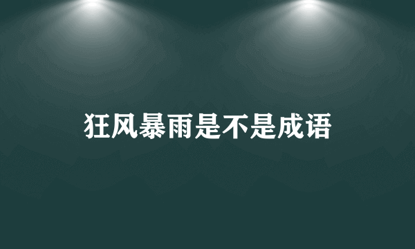狂风暴雨是不是成语