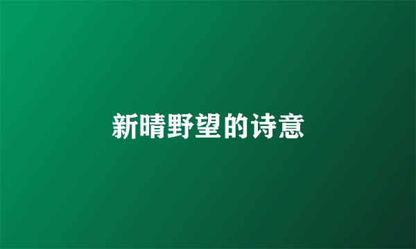 新晴野望的诗意