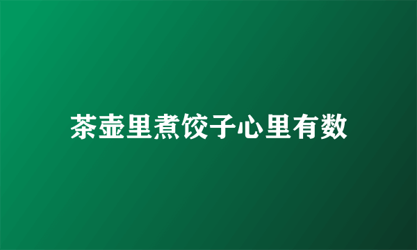 茶壶里煮饺子心里有数
