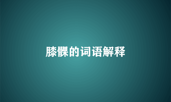 膝髁的词语解释