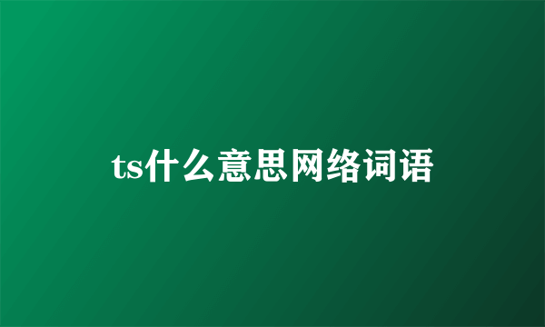 ts什么意思网络词语