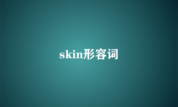 skin形容词