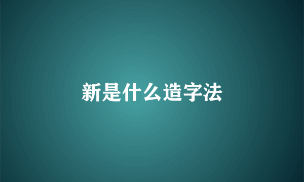 新是什么造字法