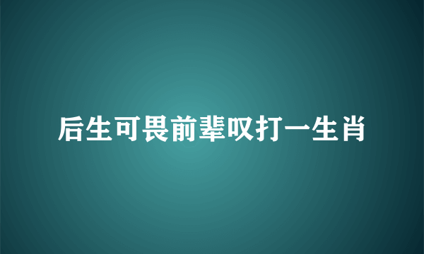 后生可畏前辈叹打一生肖