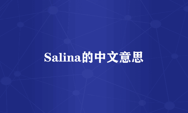 Salina的中文意思