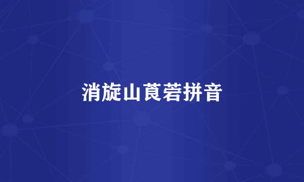 消旋山莨菪拼音