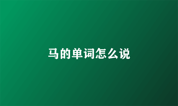 马的单词怎么说