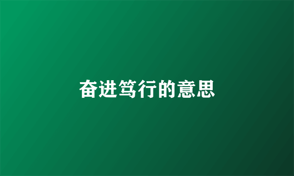 奋进笃行的意思
