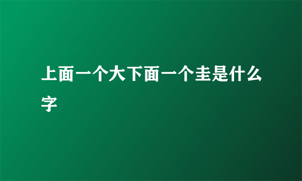 上面一个大下面一个圭是什么字