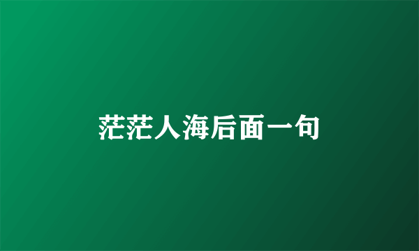 茫茫人海后面一句