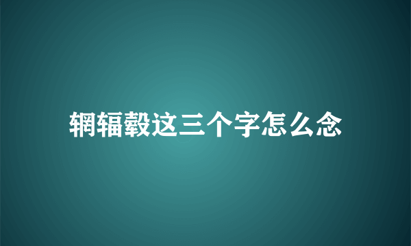 辋辐毂这三个字怎么念
