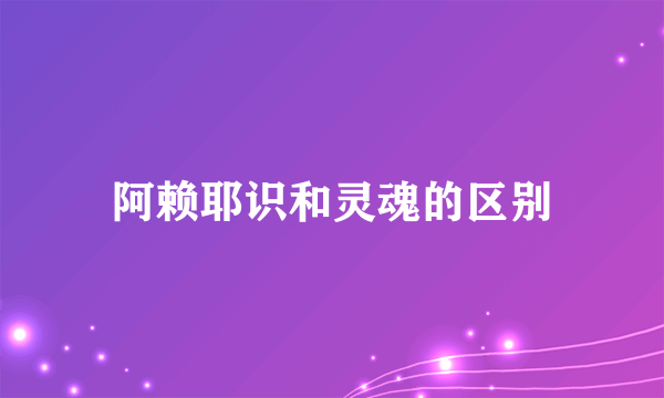 阿赖耶识和灵魂的区别