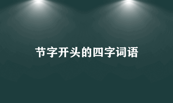 节字开头的四字词语