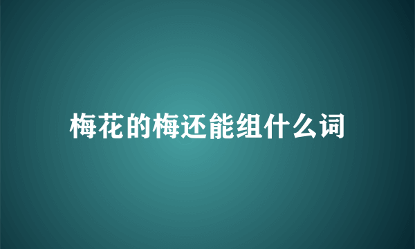 梅花的梅还能组什么词