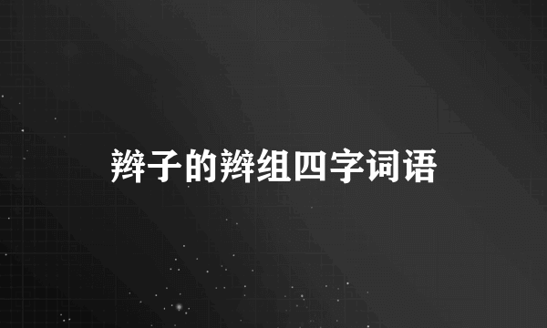 辫子的辫组四字词语