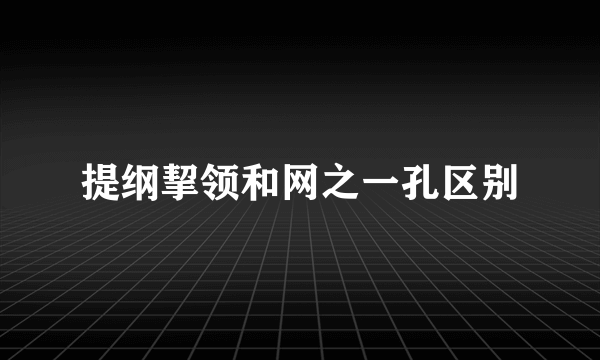 提纲挈领和网之一孔区别