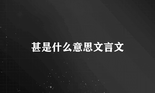 甚是什么意思文言文