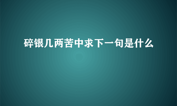 碎银几两苦中求下一句是什么