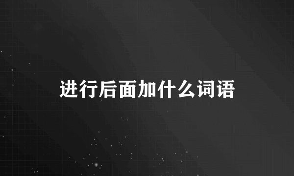 进行后面加什么词语