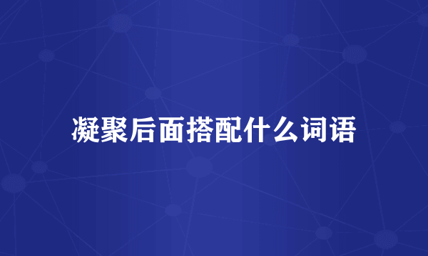 凝聚后面搭配什么词语