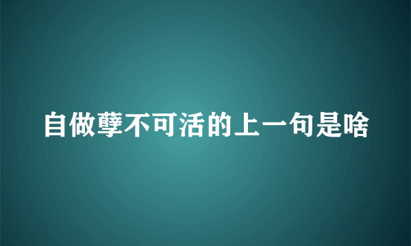 自做孽不可活的上一句是啥
