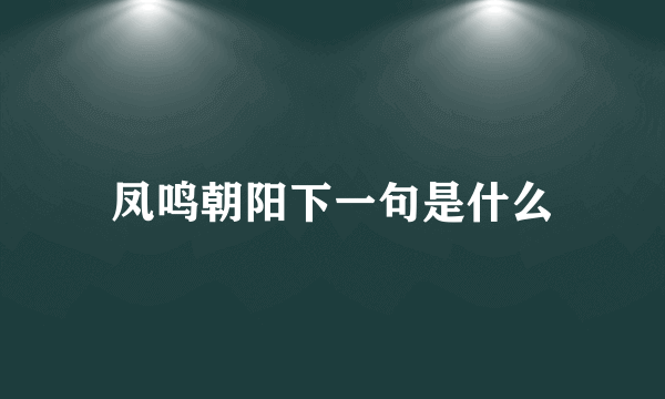 凤鸣朝阳下一句是什么
