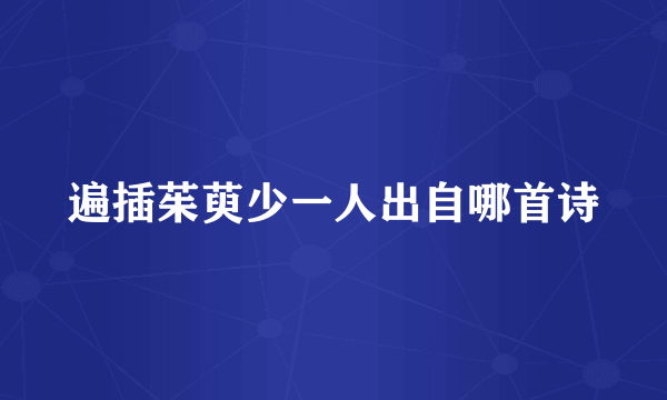 遍插茱萸少一人出自哪首诗