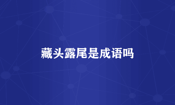 藏头露尾是成语吗