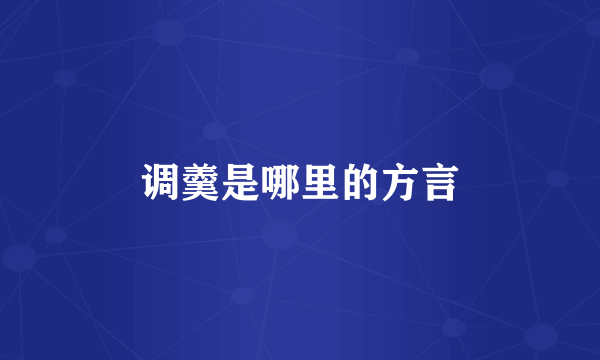 调羹是哪里的方言