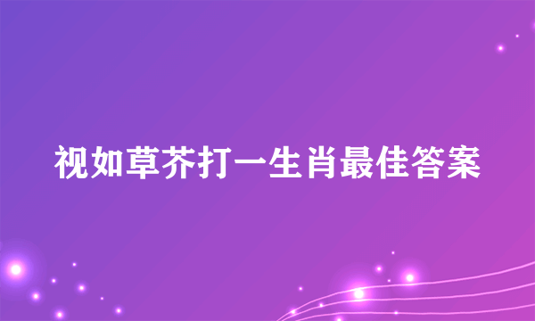 视如草芥打一生肖最佳答案
