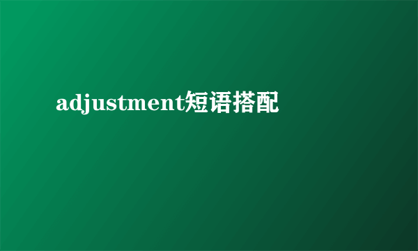 adjustment短语搭配