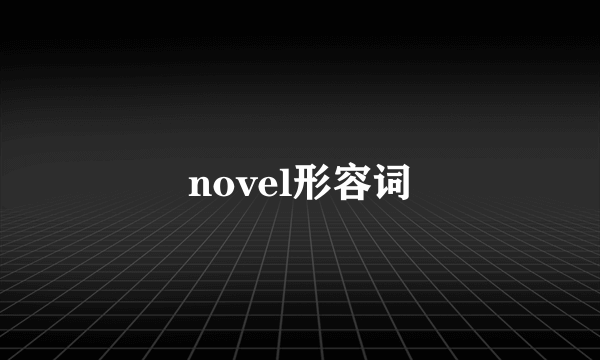 novel形容词