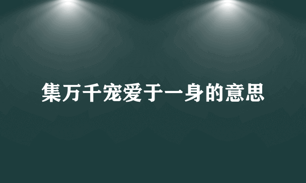 集万千宠爱于一身的意思