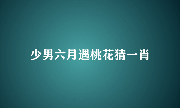 少男六月遇桃花猜一肖